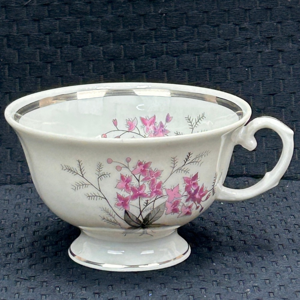 Karolina Poland China Teacup Pink Floral Silver Trim Vintage Porcelain 3879‎ 14